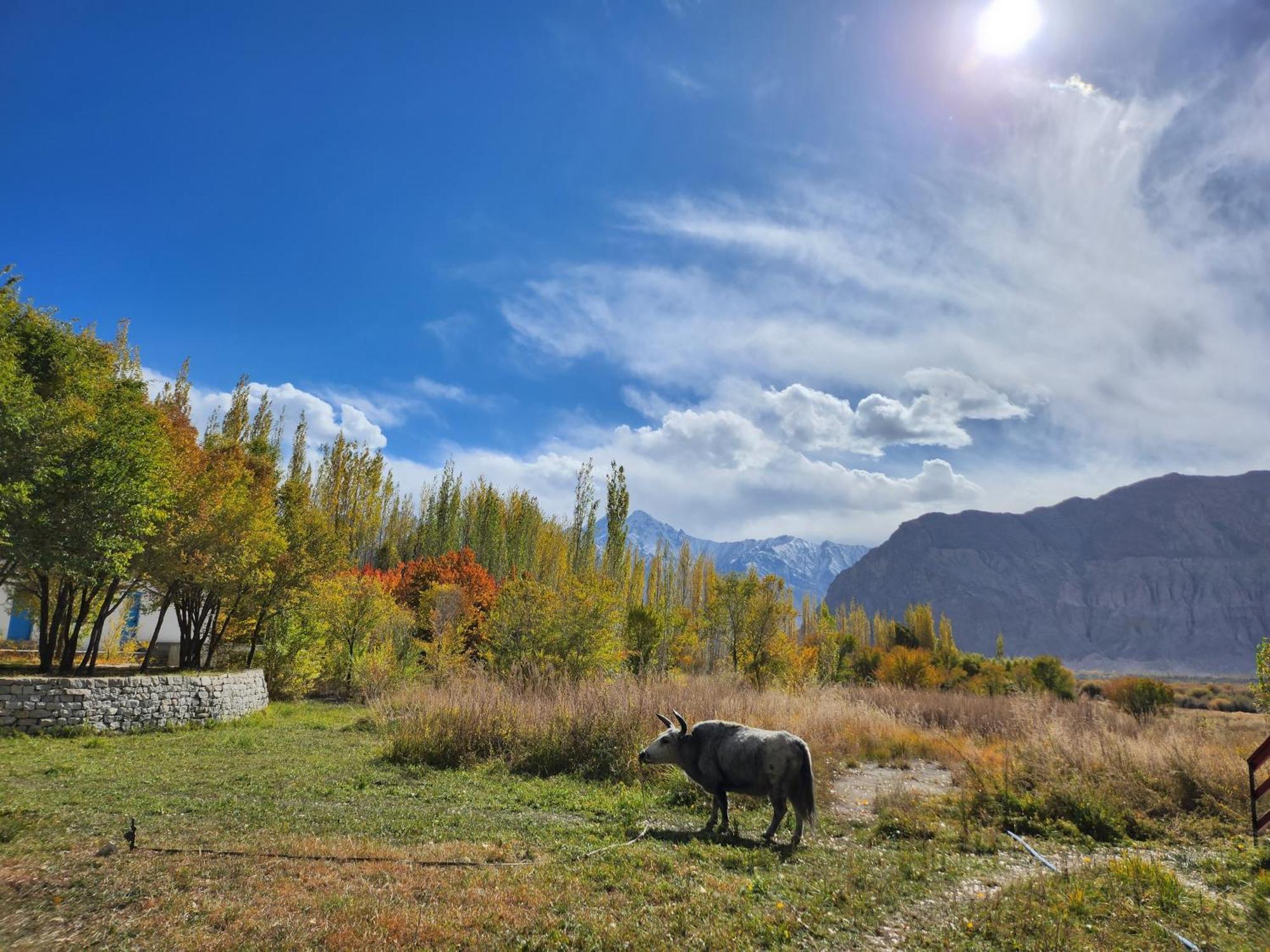 Lharimo Hotel Leh - Ladakh Extérieur photo