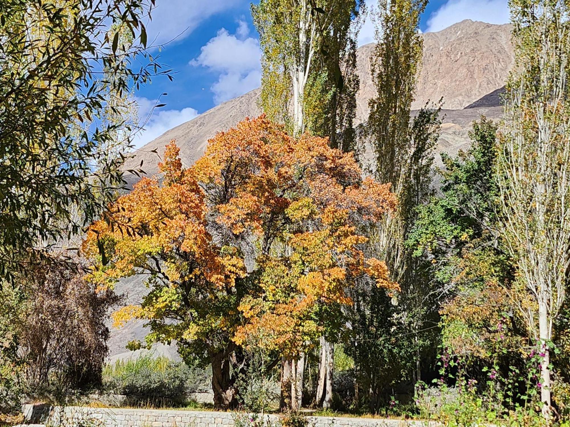 Lharimo Hotel Leh - Ladakh Extérieur photo